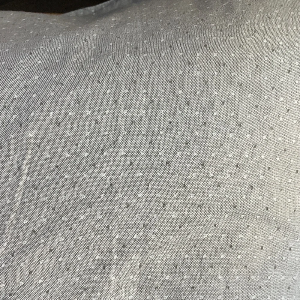 West Elm Set of 2 Euro Sham Organic Cotton - Picture 4 of 7